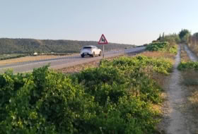 Foto 11