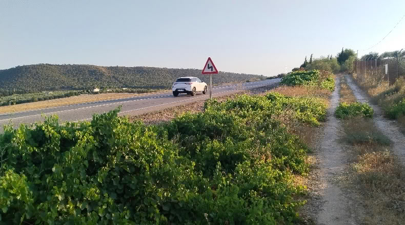 Málaga - Mollina - 10014m2
