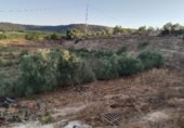 Terreno no urbanizable en venta en la A-7280, Mollina, ref: TR416799 foto