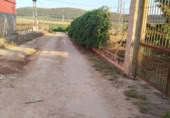 Terreno no urbanizable en venta en la A-7280, Mollina, ref: TR416799 foto