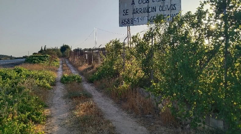 Málaga - Mollina - 10014m2