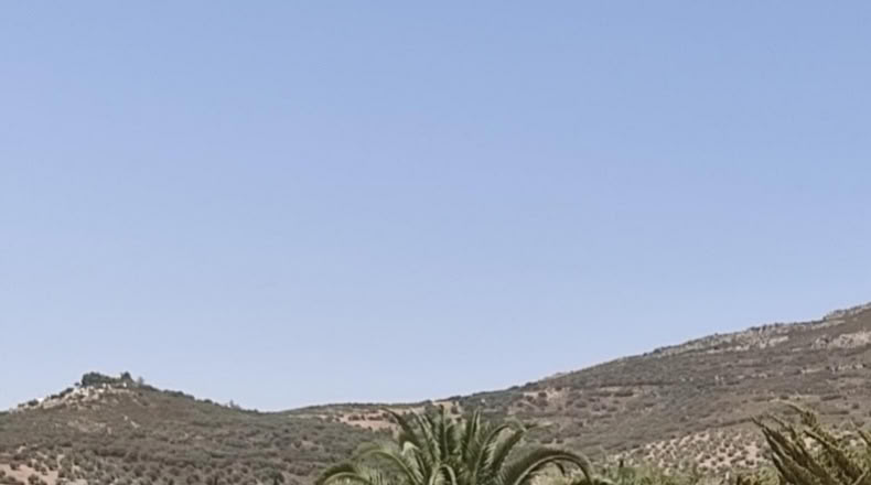 Ciudad Real - Villarrubia de los Ojos - 619m2