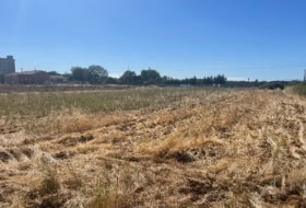 Palanquinos 3115&nbsp;m²