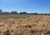 Suelo urbano en venta en la Carretera estación de Palanquinos a Villacelama, Palanquinos, ref: TR416801 foto