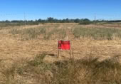 Suelo urbano en venta en la Carretera estación de Palanquinos a Villacelama, Palanquinos, ref: TR416801 foto
