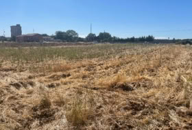 Palanquinos 3115&nbsp;m²