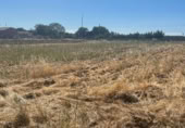 Suelo urbano en venta en la Carretera estación de Palanquinos a Villacelama, Palanquinos, ref: TR416801 foto