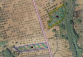 Terreno no urbanizable en venta en la España, Vall d'Alba, ref: TR416805 foto