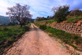 la Fatarella 10100&nbsp;m²