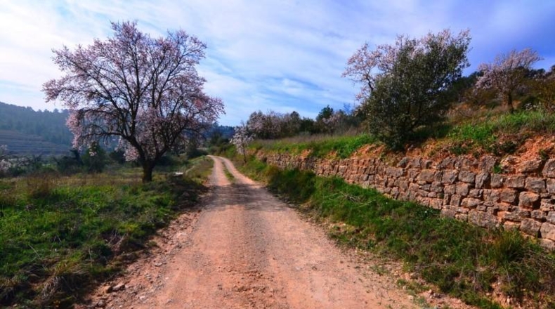 Tarragona - la Fatarella - 10100m2