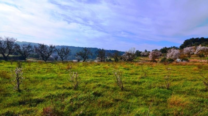 Tarragona - la Fatarella - 10100m2