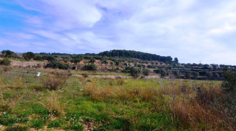 Tarragona - la Fatarella - 10100m2