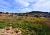 Terreno no urbanizable en venta en la España, la Fatarella, ref: TR416806 foto