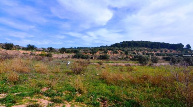 Tarragona - la Fatarella - 10100m2