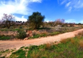 Terreno no urbanizable en venta en la España, la Fatarella, ref: TR416806 foto