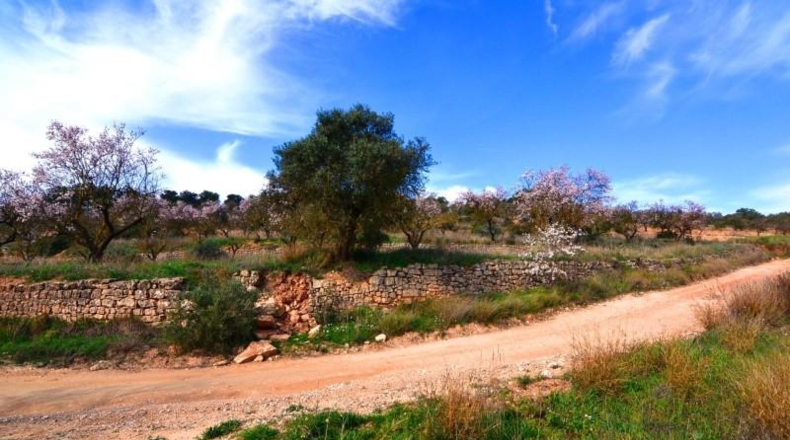 Tarragona - la Fatarella - 10100m2