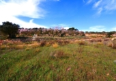 Terreno no urbanizable en venta en la España, la Fatarella, ref: TR416806 foto