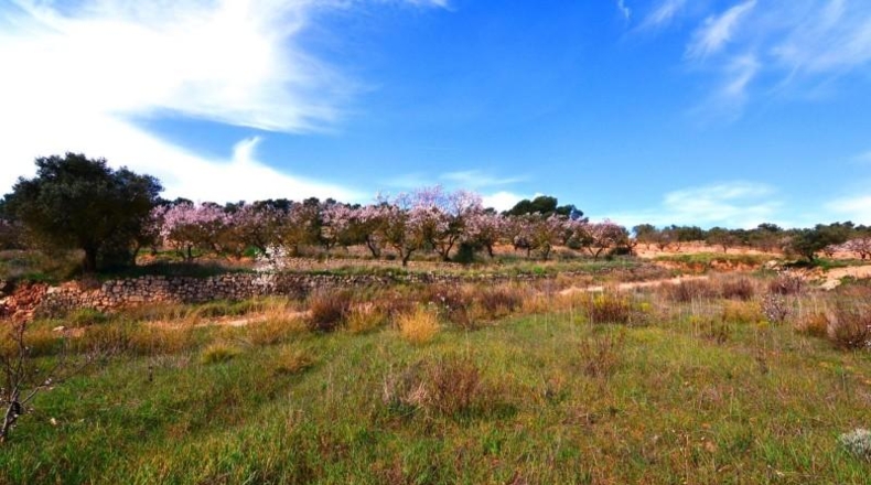 Tarragona - la Fatarella - 10100m2