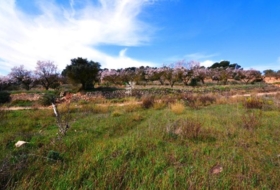 la Fatarella 10100&nbsp;m²