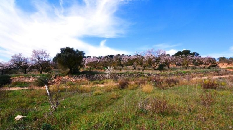 Tarragona - la Fatarella - 10100m2