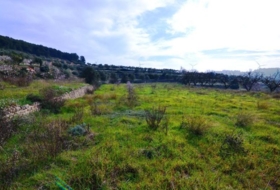 la Fatarella 10100&nbsp;m²