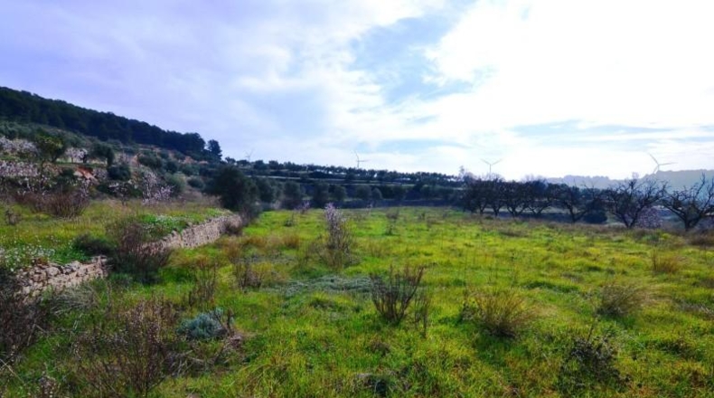 Tarragona - la Fatarella - 10100m2