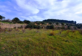 la Fatarella 10100&nbsp;m²