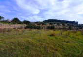 Terreno no urbanizable en venta en la España, la Fatarella, ref: TR416806 foto
