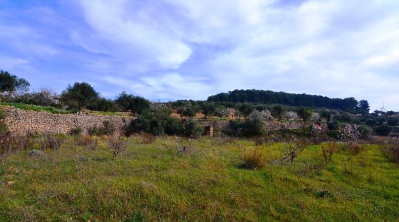 Tarragona - la Fatarella - 10100m2