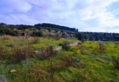 Terreno no urbanizable en venta en la España, la Fatarella, ref: TR416806 foto