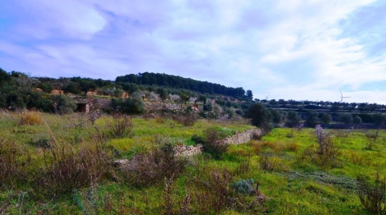 Tarragona - la Fatarella - 10100m2