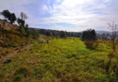 Terreno no urbanizable en venta en la España, la Fatarella, ref: TR416806 foto