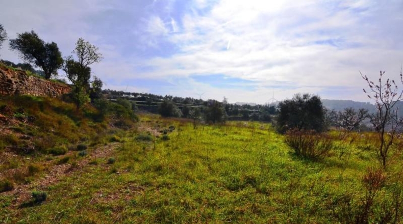 Tarragona - la Fatarella - 10100m2