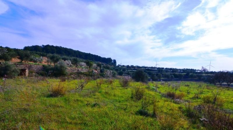 Tarragona - la Fatarella - 10100m2