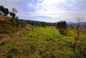 la Fatarella 10100&nbsp;m²