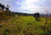 Terreno no urbanizable en venta en la España, la Fatarella, ref: TR416806 foto