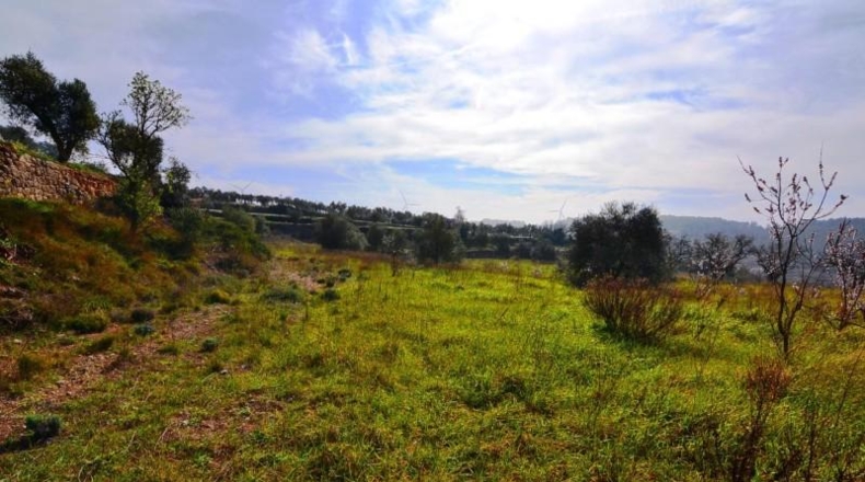 Tarragona - la Fatarella - 10100m2