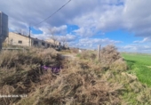 Terreno no urbanizable en venta en la España, Tauste, ref: TR416810 foto