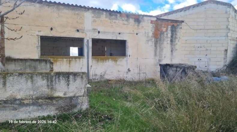 Zaragoza - Tauste - 2471m2