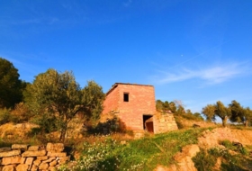Corbera d'Ebre 26100&nbsp;m²