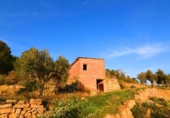 Terreno no urbanizable en venta en la España, Corbera d'Ebre, ref: TR416813 foto
