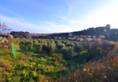 Terreno no urbanizable en venta en la España, Corbera d'Ebre, ref: TR416813 foto