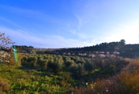 Corbera d'Ebre 26100&nbsp;m²