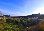 Terreno no urbanizable en venta en la España, Corbera d'Ebre, ref: TR416813 foto