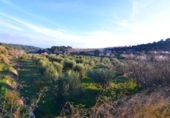Terreno no urbanizable en venta en la España, Corbera d'Ebre, ref: TR416813 foto