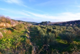 Corbera d'Ebre 26100&nbsp;m²