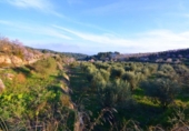 Terreno no urbanizable en venta en la España, Corbera d'Ebre, ref: TR416813 foto