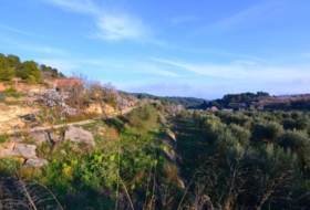 Corbera d'Ebre 26100&nbsp;m²