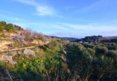 Terreno no urbanizable en venta en la España, Corbera d'Ebre, ref: TR416813 foto