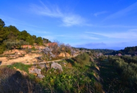 Corbera d'Ebre 26100&nbsp;m²